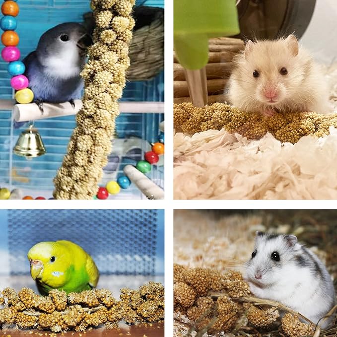 Jmxu's 1LB Spray Millet Treat for Birds Parakeets, Natural Sun-Dried Birds Millet for Cockatiel, Budgie, Finches, Parrots, Hamster