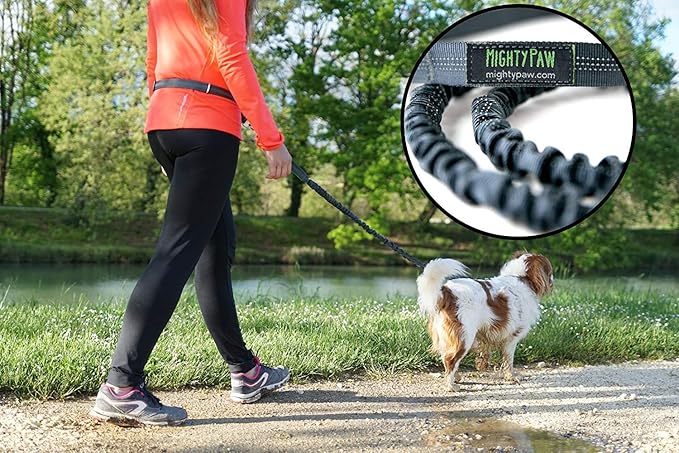 Mighty Paw Hands Free Dog Leash | Bungee Waist Leash for Dog Walking. Pet Running Hands Free Tether for Large, Medium & Small Breeds. Pet Waist Belt (36" - 48") Up to 150 lbs - Gray