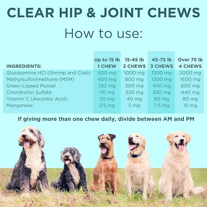 Glucosamine for Dogs Hip and Joint Supplement - Chondroitin, MSM, Green-Lipped Mussel - Clear Hip & Joint - Advanced Mobility Cartilage Support, Bone Health - Tasty Chews 60ct - Made in USA