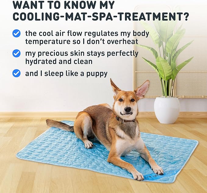 INSPECTOR TAIL Self Cooling Mat for Dog + Free String Bag/Washable & Portable Pet Soft Pad for Indoor or Outdoor/Perfect as Blanket for Kennel Sofa Bed Floor Car/Blue
