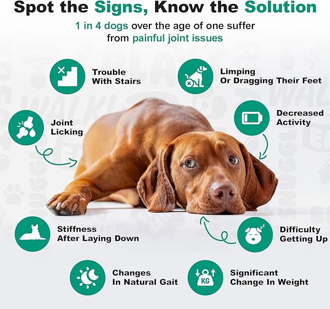 Doggie Dailies, Advanced Senior Hip and Joint Supplement for Dogs, Glucosamine Chondroitin, Premium Hip and Joint Chews for Dogs All Breeds & Sizes, Dog Vitamins and Supplements, (Duck) 120 Chews