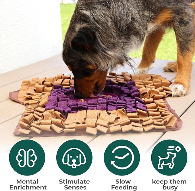 Snuffle Mat for Dogs Toast PB&J, Large Dog Snuffle Mat 21” x 23”, Plush Enrichment Toy Slow Feeder Mental Health to Keep Them Busy, Machine Washable, Snuffle Mat for All Breeds Sizes