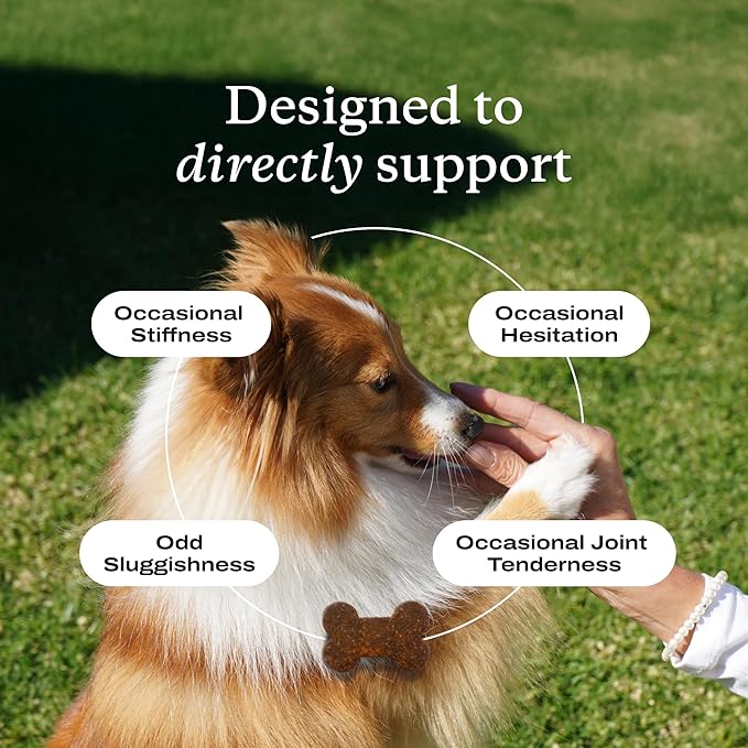 PetLab Co. Joint Care Chews - High Levels of Glucosamine for Dogs, Green Lipped Mussels, Omega 3 and Turmeric - Hip and Joint Supplement to Actively Support Mobility - Packaging May Vary - (2-Pack)