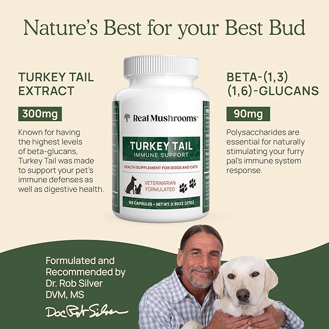 Real Mushrooms Turkey Tail Capsules for Pets –Cat Probiotics & Dog Vitamins – Organic Mushroom Supplement for Dogs & Cats – Supports Daily Balance & Well-Being Non-GMO, 90 ct