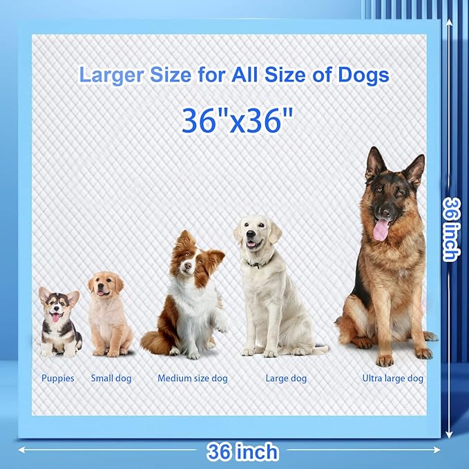 XXL Puppy Pee Pads - 36"x36", 100 Count, Super Absorbent, Thick, Disposable Potty Pads for Dogs & Puppies
