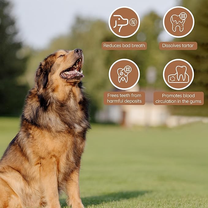 Wildfang® Olive Wood Chewing Sticks for Dogs, Large - Tough Chew Toys for Aggressive Chewers, Puppy Chew Toys for Teething, Training for Chewing Muscles, Olive Wood Stick for Dog (Over 55lbs)