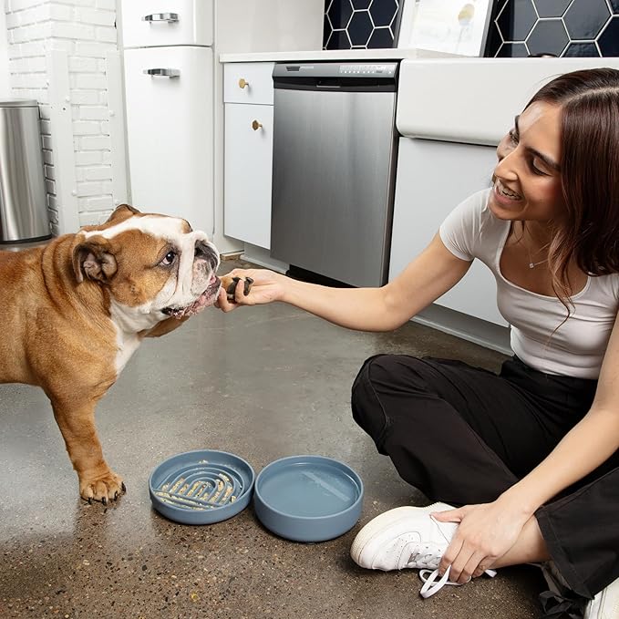 The Slowdown Bowl Silicone Slow Feeder for Dogs & Puppies, Slow Eating, Modern Lick Mat Design, Reduces Gulping, Fits 2 Cups 7.5” Across x 1.5” Tall, Mealtime Challenge, Medium-Spruce