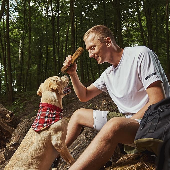 Wildfang® Olive Wood Chewing Sticks for Dogs, Large - Tough Chew Toys for Aggressive Chewers, Puppy Chew Toys for Teething, Training for Chewing Muscles, Olive Wood Stick for Dog (Over 55lbs)