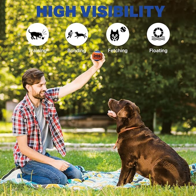 AMA SPORT Squeaky Tennis Balls for Dogs 2.0" Small Dog Tennis Balls for Throwing and Fetching Dog Toys for Training, Exercise, High Bouncing 4 Pack (Orange Yellow)