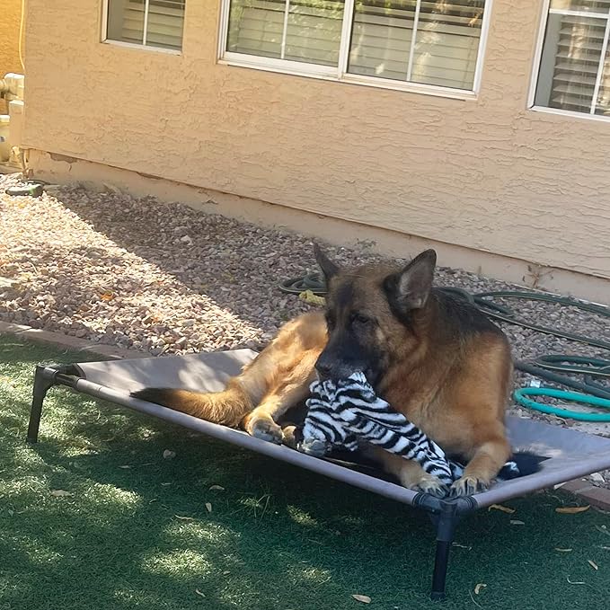 Jalousie 5 Pack Stuffingless Dog Squeaky Toys Dog Toy w/Durable Liner No Stuffing Dog Toy - Dog Toys Crinkle Paper Squeaker Toy for Medium Large Dogs (5 Pack - Extra-Large - Premium Furrrr)