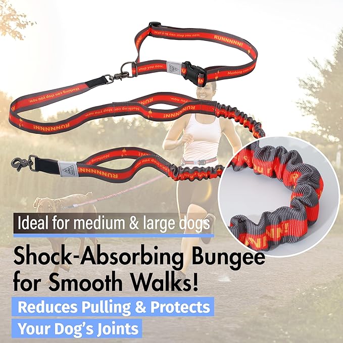 Hands Free Dog Leash with Waist Belt Lifetime Replacement, Dual Handle Bungee Leash for Running, Jogging, Hiking and Walking, for Medium and Large Dogs 5518