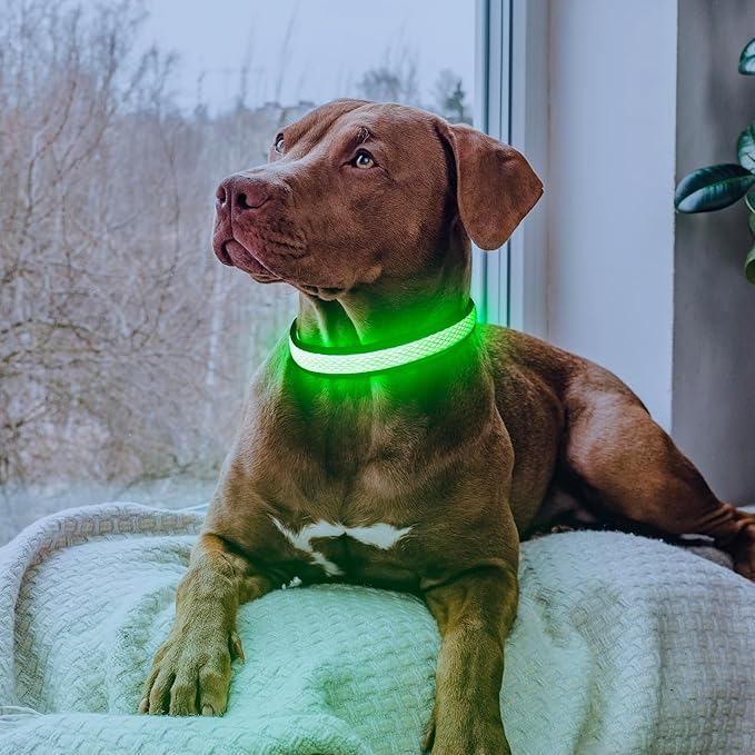LED Dog Collar, Light Up Dog Collar USB Rechargeable, Brightest Dog Lights for Night Walking, Adjustable Dog Collar Light for Dog Safety(Medium, Neon Green)