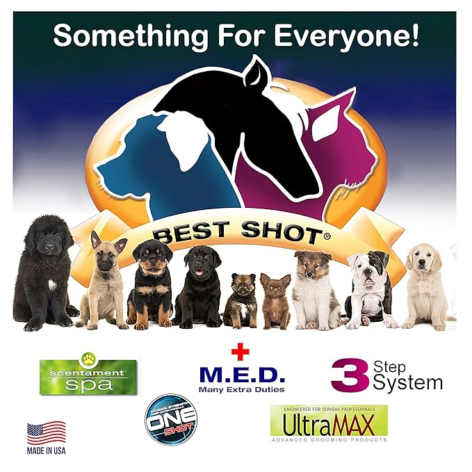 Best Shot Scentament Spa Oatmeal Body Wash, Lemon Vanilla, 1 Gallon