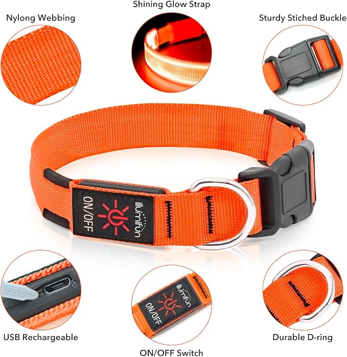 Illumifun LED Dog Collar, Adjustable Light Up Dog Collars, USB Rechargeable Water-Resistant Glowing Safety Collar Light (Orange, Small)