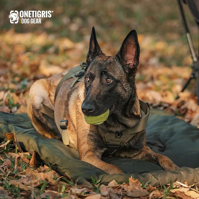 ONETIGRIS Large Dog Bed Washable Matteress Anti Slip Cushion for Pets Sleeping, 3.6ft by 2.2ft Water-Resistant Pet Bed for Indoor Outdoor(Green,S)