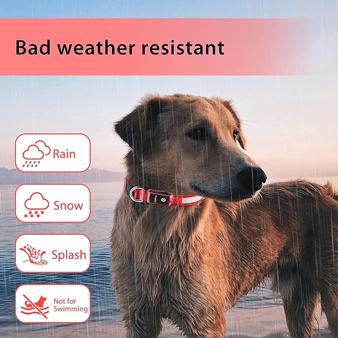PcEoTllar Light up Dog Collar for Night Walking - LED Dog Collar Light Rechargeable Color Changing, Glow in The Dark Dog Collars Waterproof Glowing Dog Collars for Large Small Medium Dogs