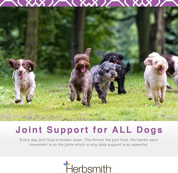Herbsmith Sound Dog Viscosity – Advanced Joint Support for Dogs – Veterinarian Recommended Glucosamine for Dogs, Hyaluronic Acid, Chondroitin, MSM – Natural Arthritis Pain Relief – 500g Powder
