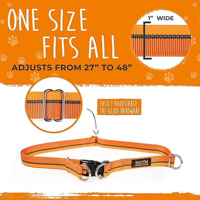 Mighty Paw Hands Free Dog Leash | Bungee Waist Leash for Dog Walking. Pet Running Hands Free Tether for Large, Medium & Small Breeds. Pet Waist Belt (36" - 48") Up to 150 lbs - Orange