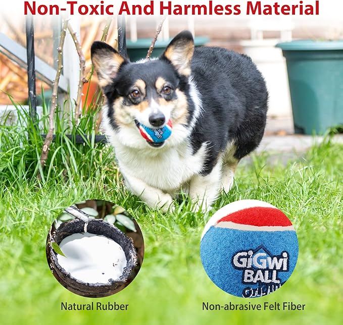 GiGwi Squeaky Tennis Balls for Dogs - High Bouncy, Bright Colors, 2.5 Inches, Interactive Fun Toys for All Breeds, Indoor & Outdoor Play, 5 Pack