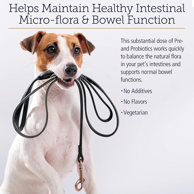 Rx Vitamins Rx Biotic - Probiotic Powder for Dogs and Cats - Cat Digestive Support & Probiotic for Dogs Gut Health - Dog Probiotics for Digestive Health - 2.12oz