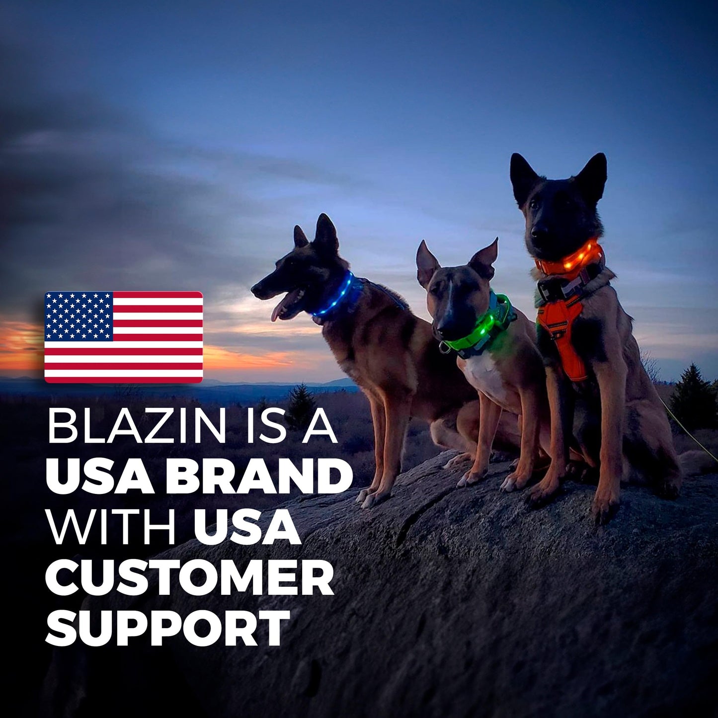 BLAZIN Light Up Dog Leash LED - 1,000 Feet of Visibility - USB Rechargeable Waterproof Glow in The Dark Dog Leash - 4 Foot, Yellow