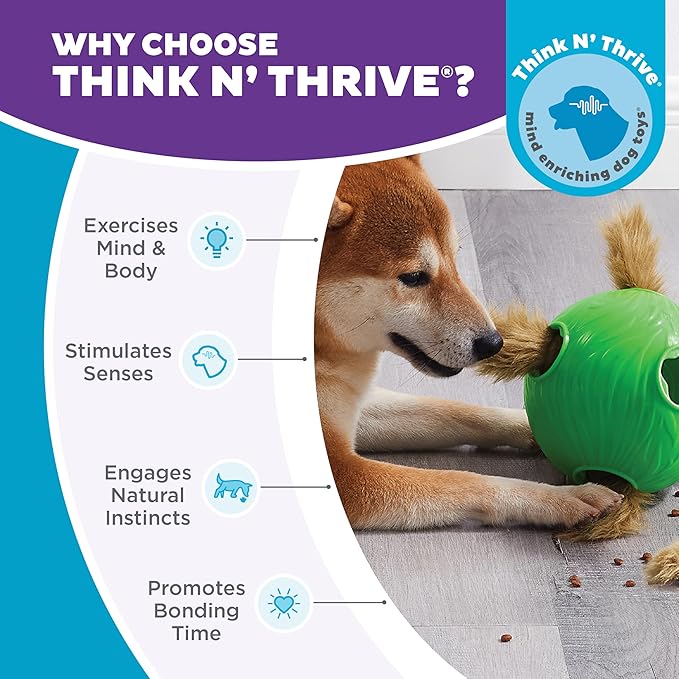 Outward Hound by Nina Ottosson Dog Snuffle N' Treat Ball Puzzle, Level 2 Intermediate, Green, Large