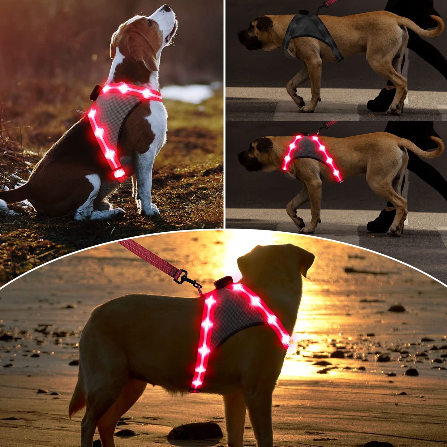 ChalkLit Light Up Dog Harness, Reflective Led Dog Harness Glow-in-The-Dark for Night Walking, USB Rechargeable Lighted Dog Safety Vest for Medium Dogs, Adjustable Soft Mesh No Pull (Pink, Medium)