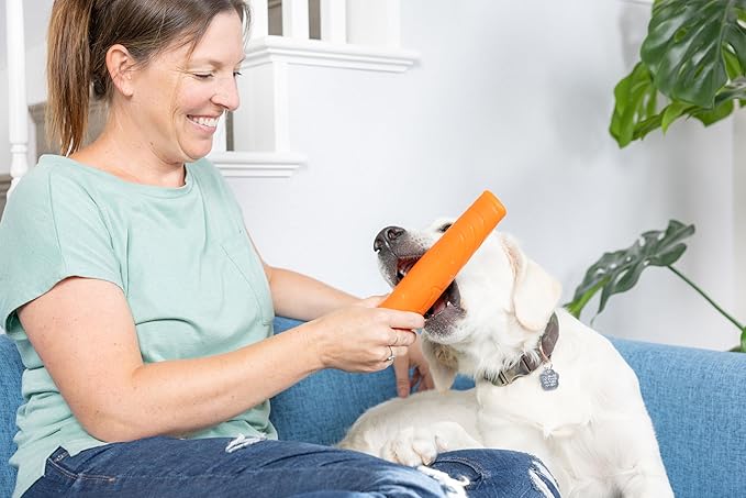 Chuckit! Super Crunch Fetch Stick Dog Toy, 9.2 inches in Length, Medium-Large, for Breeds 20-100 lbs