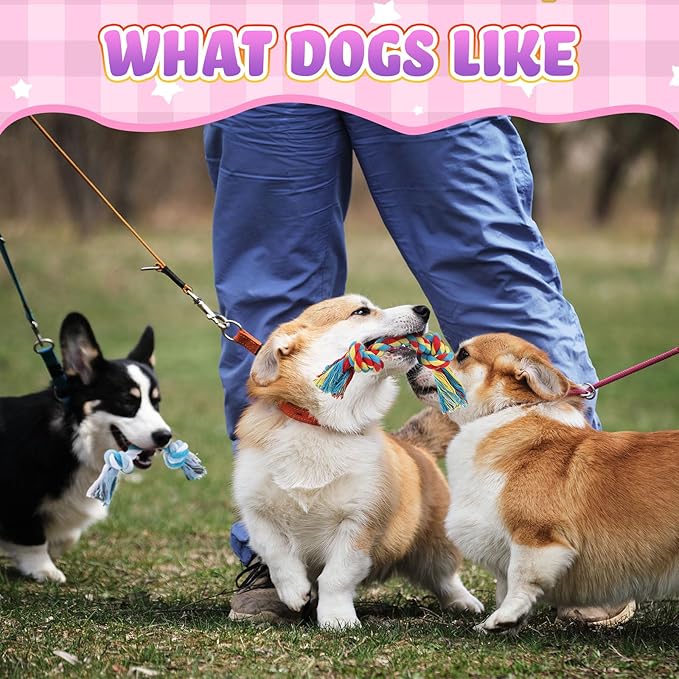 Syhood 48 Pcs Dog Toys Bulk Chew Ropes Dental Cotton Teething 2 Knot Tug of War Toy for Aggressive Chewers Small and Medium Dogs Puppies