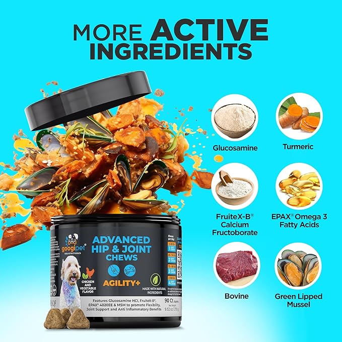 Googipet Hip and Joint Supplement for Dogs - Glucosamine for Dogs – Soft Chews w/Green Lipped Mussels, Turmeric, & Collagen for Arthritis & Mobility for All Ages & Breeds
