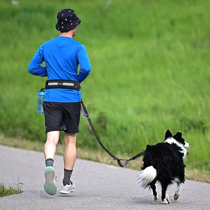 PetAmi Heavy Duty Hands Free Dog Leash, Adjustable Waist Belt for Large Dog Walking Up to 125 lbs, Bungee Leash for Pet Running, Hiking, Reflective Safety for Jogging, Biking, Purple Handle