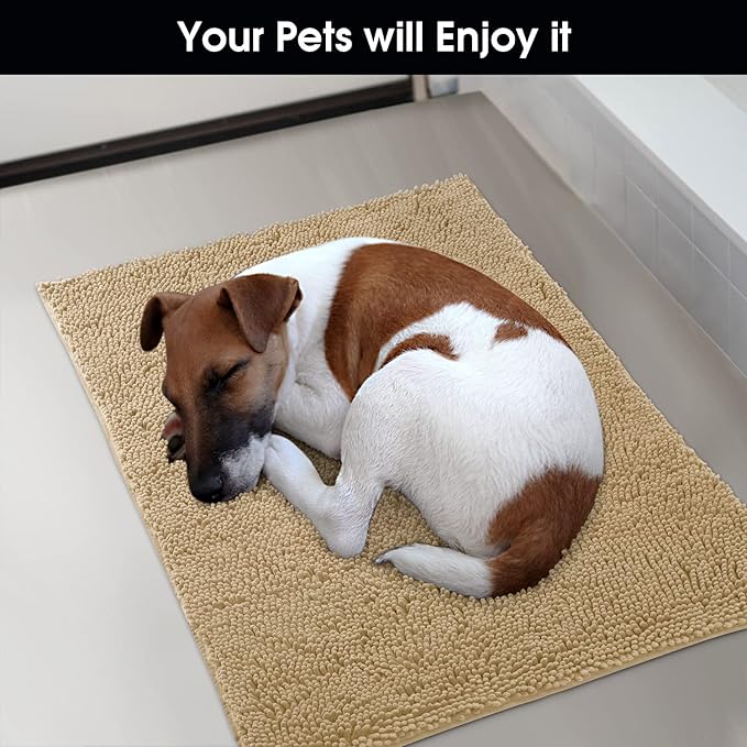 HOMEIDEAS Doormat Indoor Entrance, 32"x20", Highly Absorbent Chenille Muddy Dog Washable Non Slip Front Welcome Door Floor Mat for Entryway, Beige