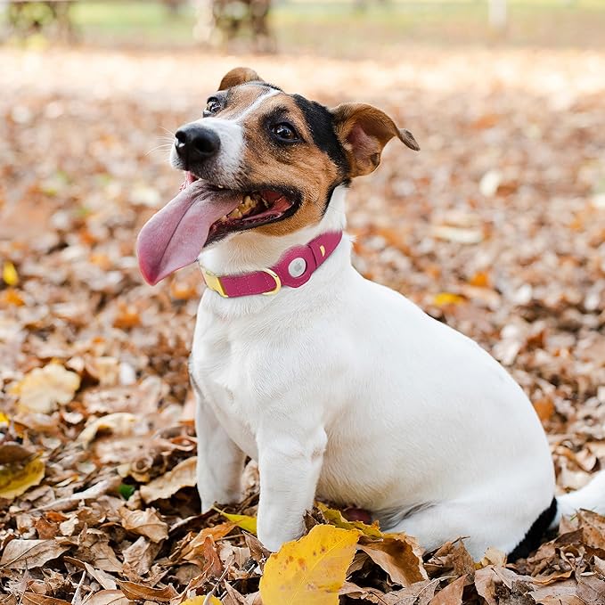 Leather Airtag Dog Collar - Soft Tracking Dog Collar with Apple AirTag Holder and Metal Buckle - Safety GPS Pet Collars for Small Medium Large Dogs Puppy Pink Red (Pink, S, 12"-15" Neck Fit)