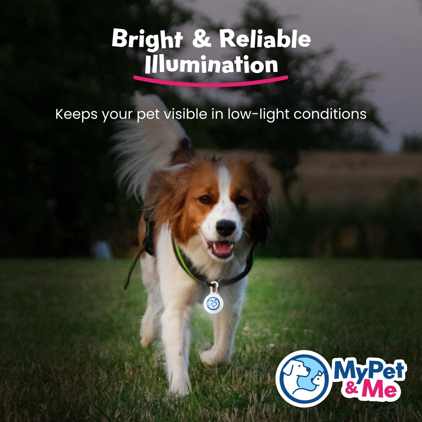 My Pet & Me - LED Dog Collar Light | Clip-On Pet Safety Light for Night Walks | Long-Lasting Glow for Enhanced Visibility | Circular LED Collar Light for Dogs & Cats