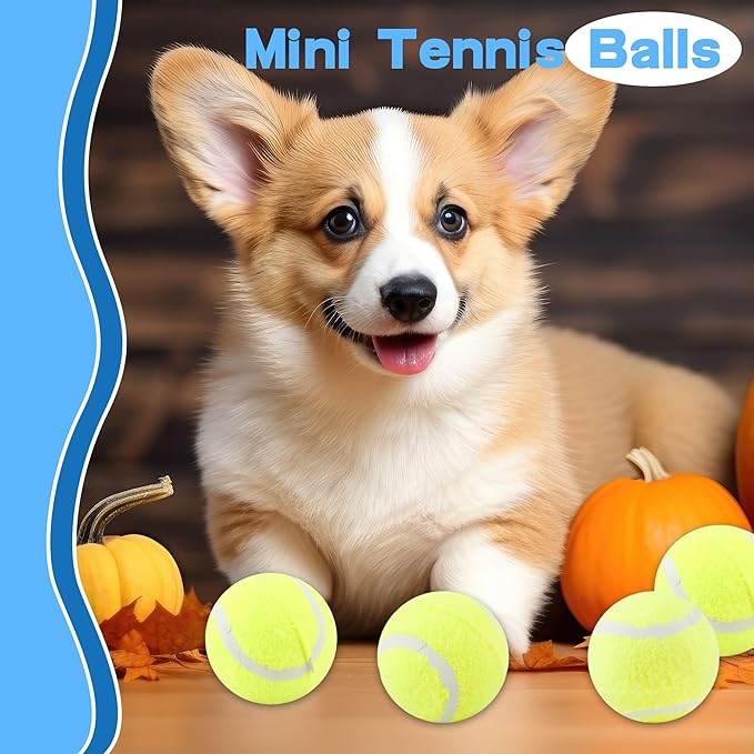 18 Pack 2.4 Inch Pet Mini Tennis Balls Dog Training Tennis Balls Bulk for Indoor and Outdoor Pet Playing Fecth Interactive Training Toys