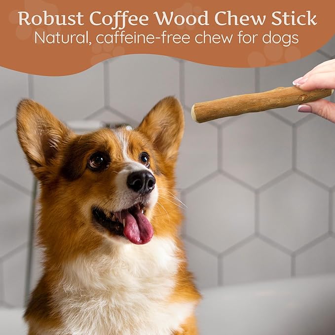 Wildfang® Coffee Wood Dog Chew, Medium - Tough Chew Toys for Aggressive Chewers, Dog Teething Toys for Puppies, Training for Chewing Muscles, Coffee Tree Sticks for Medium Dogs (33-55 lbs)
