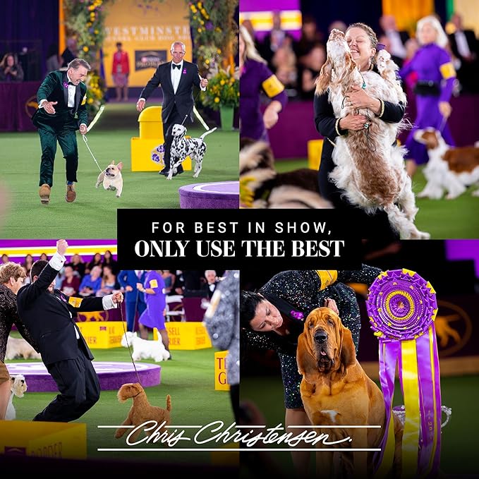 Chris Christensen Dog Brush, 20 mm Oval, Wood Pin Series, Groom Like a Professional, Real Wood Pins, 100% Static-Free, Redistribute Natural Oils into Coat, Reduces Painful Pulling, Small