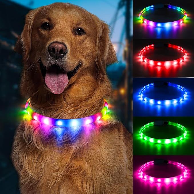 Flashseen LED Dog Collar, USB Rechargeable Glowing Lighted Up Collar, Cuttable Water-Resistant TPU Safety Collar Lights for Small Medium Large Dogs (Style 2)