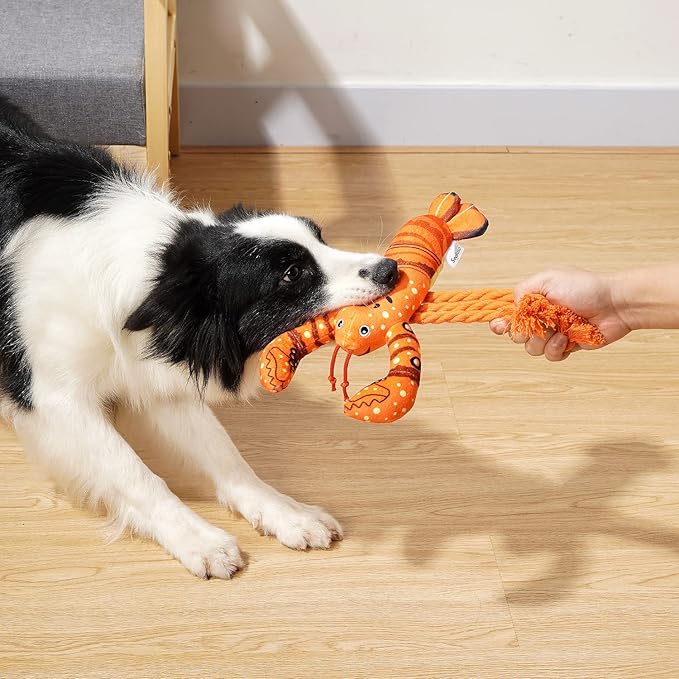 Dog Toys, Dog Plush Toy for Large Breed, Cute Squeaky Dogs Toy with Crinkle Paper, Puppy Chew Toy for Small, Middle, Large Breed (Lobster)