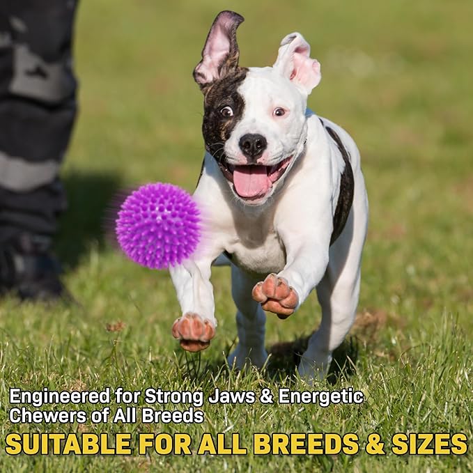 Spiky Dog Ball 3 Inch Squeaky Toy for Small - Medium Dogs Aggressive Chewers Puppy Teething Toys Dog Spike Ball for Training and Teeth Cleaning - 2 Pack