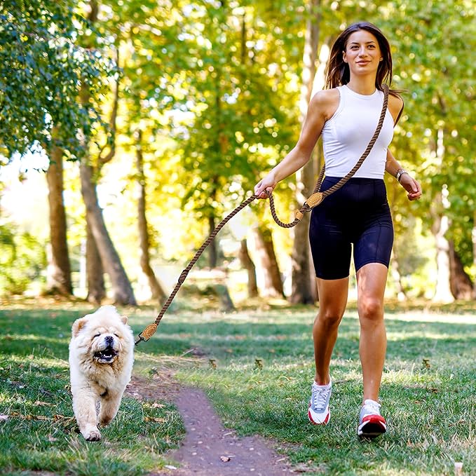 Mile High Life Hands Free Dog Leash, Crossbody Waist Leash with Genuine Leather Connection, Multifunctional Adjustable Slip Lead for Dog Walking Running (Dark Brown, 7FT)