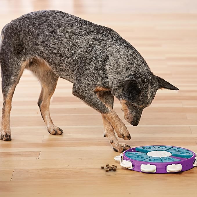 Outward Hound by Nina Ottosson Dog Twister Treat Puzzle Enrichment Toy, Level 3 Advanced, Purple