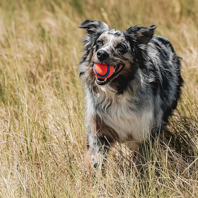 Chuckit! Ultra Ball Dog Toy - Medium Bouncy Fetch Balls for Dogs 20-60 lbs - Made from Durable Rubber - Floating Water Pet Toys - Size Medium - 2.5-inch Diameter - Pack of 3