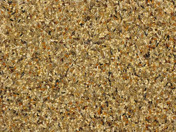 Foreign Deluxe Finch, 2 kg (4.4 lbs) Pour Spout Bag