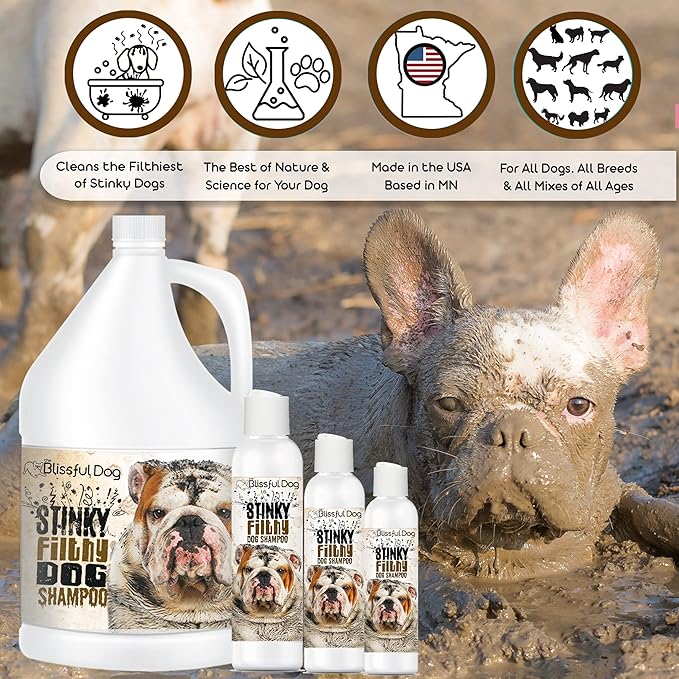 The Blissful Dog Stinky Filthy Dog Shampoo, 16 oz