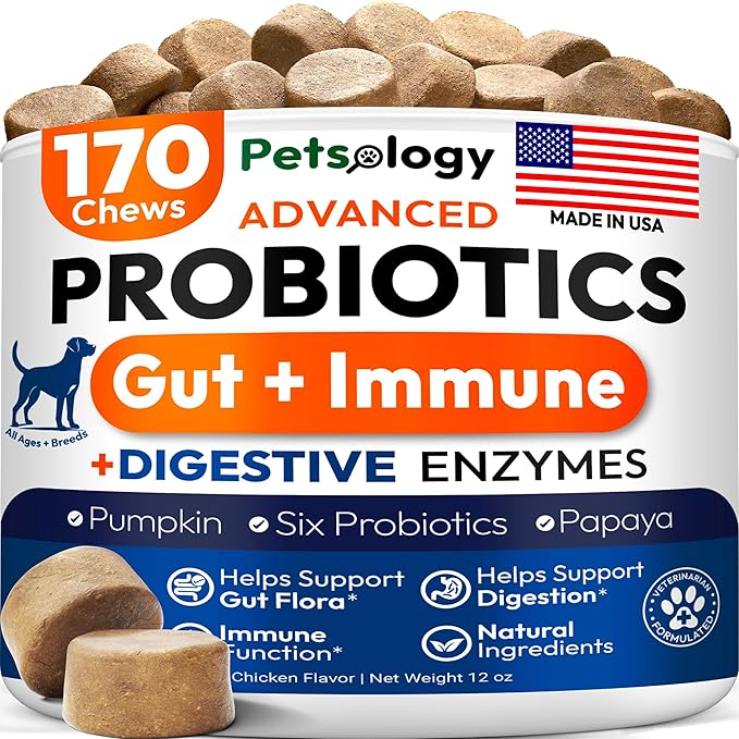 Probiotics for Dogs - 170 Dog Probiotics Chews - Digestive Enzymes & Prebiotics - Support Gut Health, Diarrhea, Gas & Constipation Relief - Itchy Skin, Allergies, Yeast Balance - Advanced Supplement