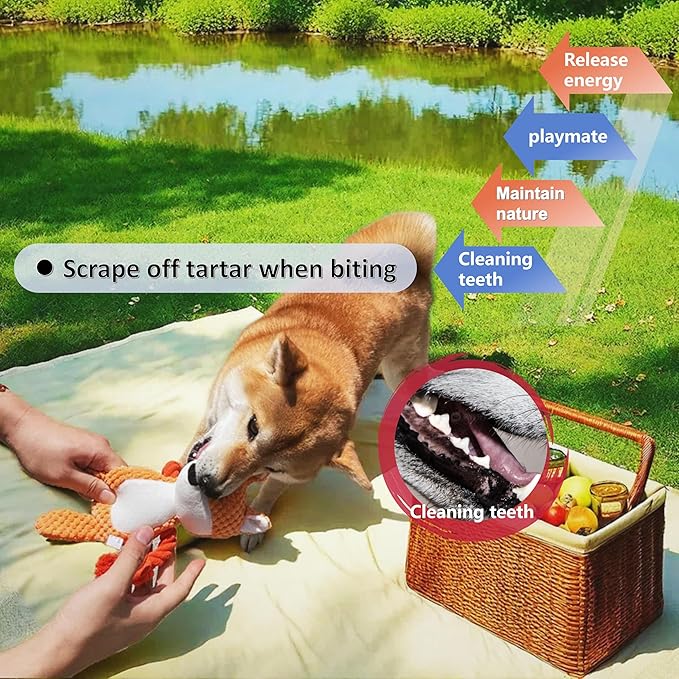 Nana Petit Fox Squeaky Dog Toys for Small & Medium Dogs – Plush Chew Toy, Interactive Puppy Teething Toys for Aggressive Chewers, Cute Stuffed Animal for Play, Training & Indoor Fun