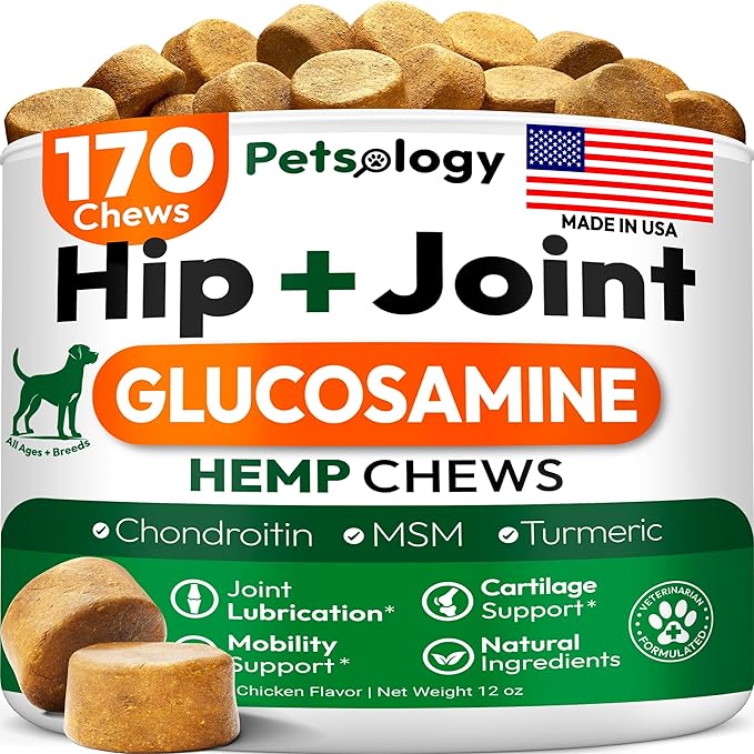 Hemp Hip and Joint Supplement for Dogs - Glucosamine for Dogs - 170 Mobility Support Chews - Advanced Joint Pain Relief Treats with Chondroitin, MSM, Turmeric - Large & Small Breeds - Made in USA
