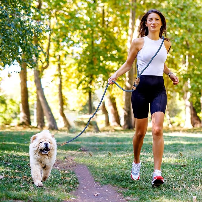 Mile High Life Hands Free Dog Leash, Crossbody Waist Leash with Genuine Leather Connection, Multifunctional Adjustable Slip Lead for Dog Walking Running (Blue, 7FT)