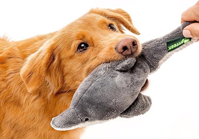 Ocean Collection Dog Toys | Medium Sized Destiny The Dolphin | Cute, Durable, & Sustainable Plush Chew Toys for Dogs 25 to 50 lbs | Eco Friendly & 100% Recycled Materials